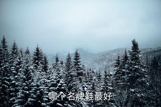 哪个名牌鞋最好