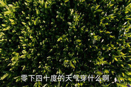 零下四十度的天气穿什么啊