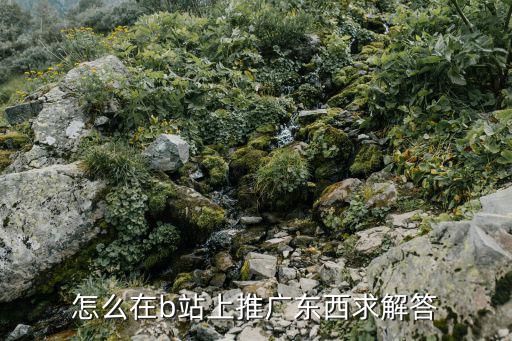 怎么在b站上推广东西求解答