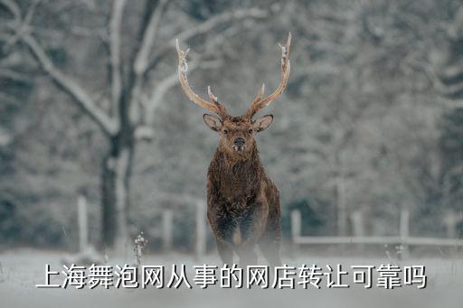 上海舞泡网从事的网店转让可靠吗