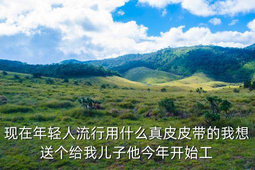 2017什么皮带时尚，大家有什么推荐的表带