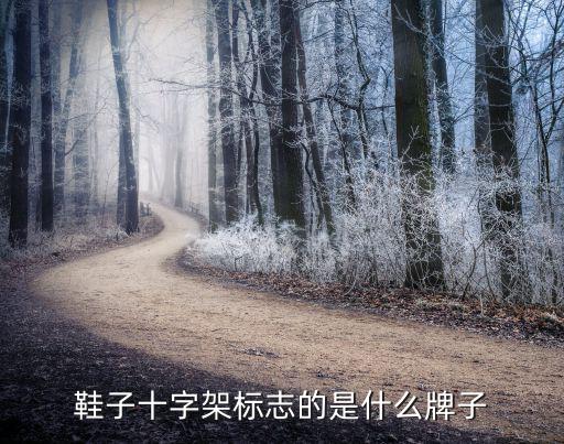 鞋子十字架标志的是什么牌子