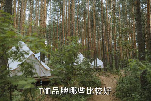 阳江时尚t恤哪个品牌好，T恤品牌哪些比较好