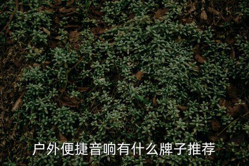 户外音响品牌排行，户外便捷音响有什么牌子推荐