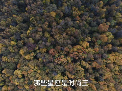 哪些星座是时尚王