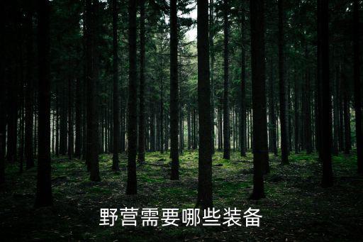 野营需要哪些装备