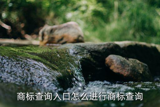 商标查询入口怎么进行商标查询
