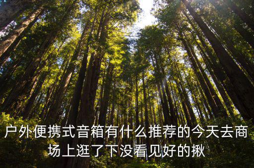 户外便携式音箱有什么推荐的今天去商场上逛了下没看见好的揪