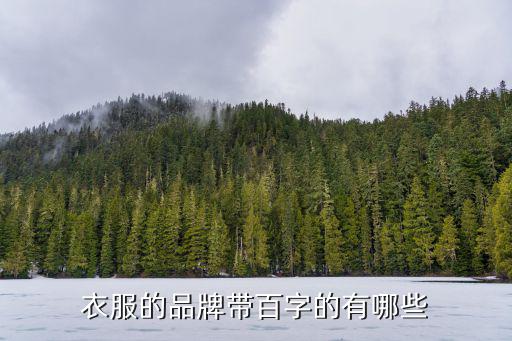 衣服的品牌带百字的有哪些