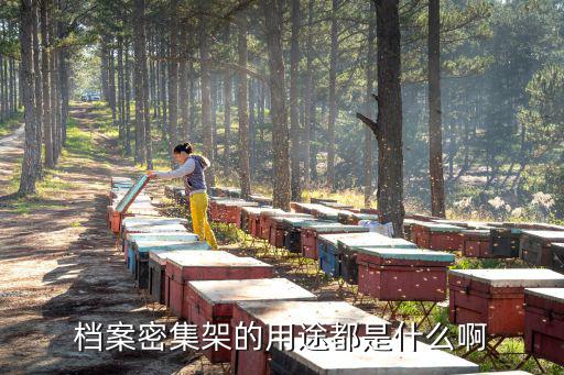 档案密集架的用途都是什么啊