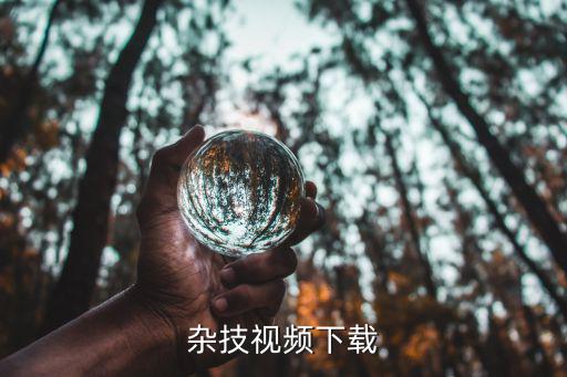 杂技视频下载