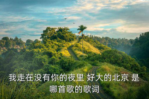 我走在没有你的夜里 好大的北京 是哪首歌的歌词