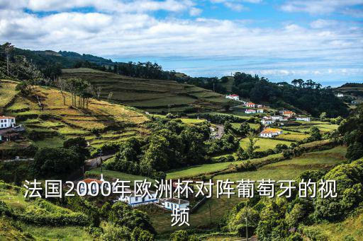 法国2000年欧洲杯对阵葡萄牙的视频