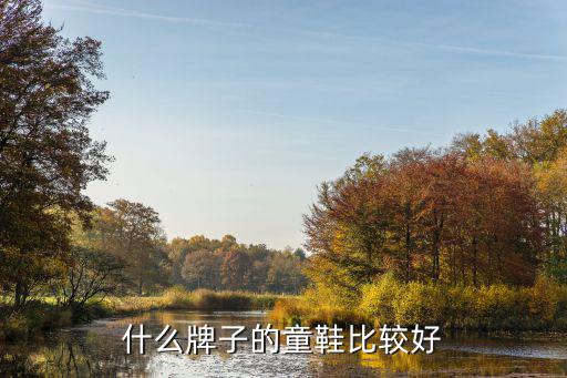 什么牌子的童鞋比较好