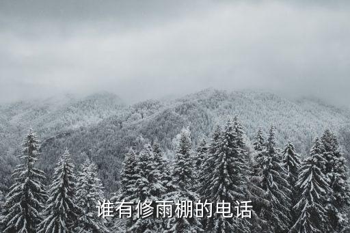 谁有修雨棚的电话