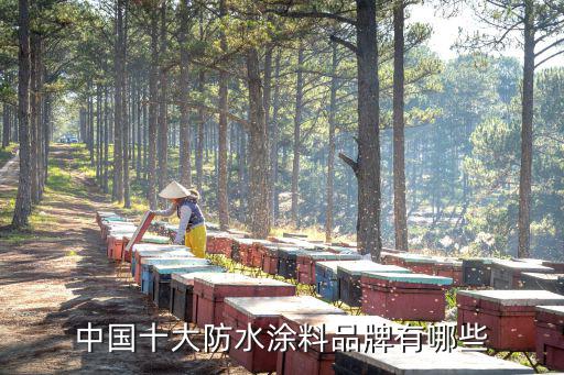 中国十大防水涂料品牌有哪些