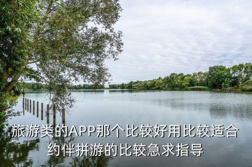 旅游类的APP那个比较好用比较适合约伴拼游的比较急求指导