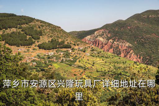 时尚兴隆玩具在哪个地方，萍乡市安源区兴隆玩具厂详细地址在哪里