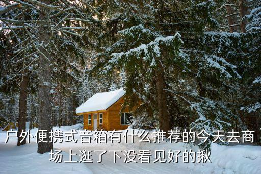 户外便携式音箱有什么推荐的今天去商场上逛了下没看见好的揪