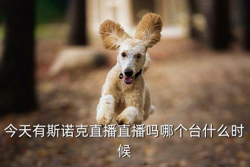 今天有斯诺克直播直播吗哪个台什么时候