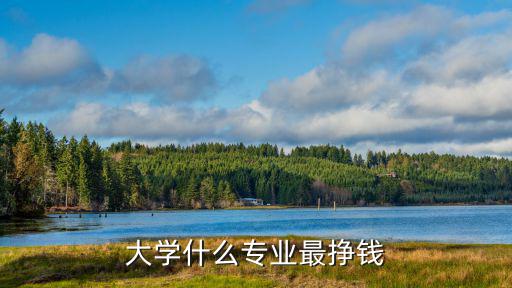 大学什么专业最挣钱