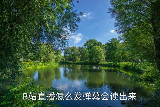 b站直播弹幕语音播报，bilibili直播间发弹幕问题