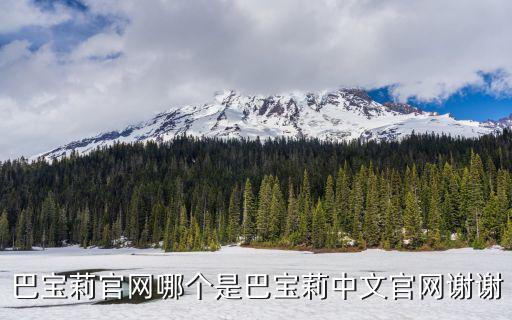 巴宝莉官网哪个是巴宝莉中文官网谢谢