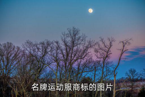 名牌运动服商标的图片