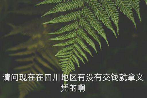 交钱直接可以拿文凭，请问现在在四川地区有没有交钱就拿文凭的啊