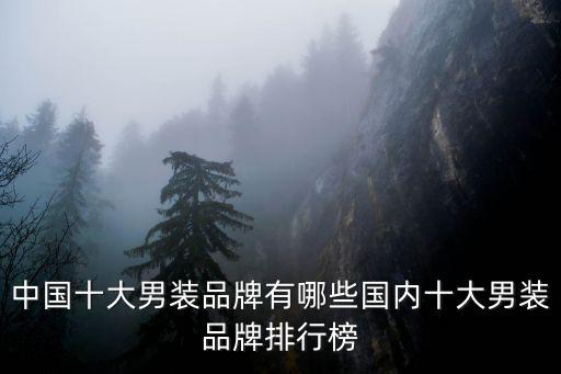 高档男装品牌前十名，中国十大男装品牌有哪些国内十大男装品牌排行榜