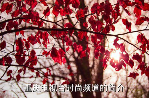 重庆电视台时尚频道的简介