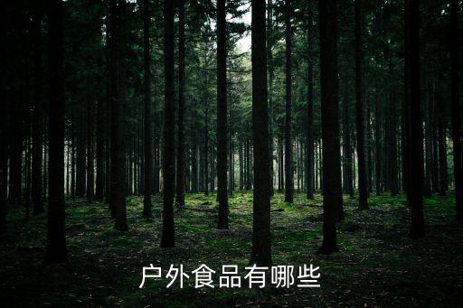 户外食品有哪些