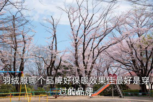 羽绒服哪个品牌好保暖效果佳最好是穿过的品牌