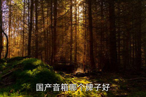 中国国产十大音响品牌，国产音箱哪个牌子好