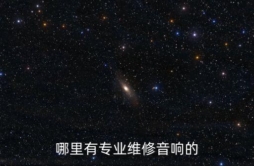 哪里有专业维修音响的