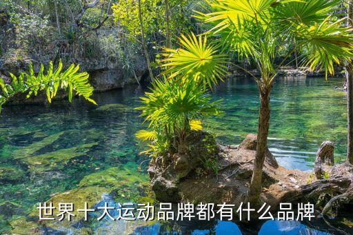 全球十大运动品牌，世界十大品牌运动服名称