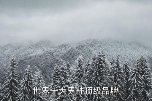 十大奢侈品牌男鞋，世界十大男鞋顶级品牌