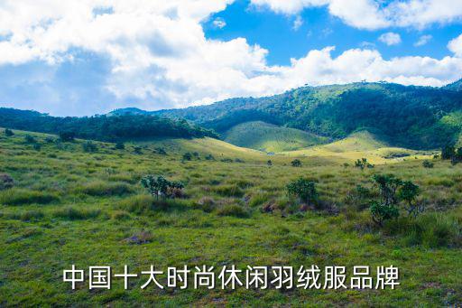 中国品牌羽绒服排行榜，中国十大时尚休闲羽绒服品牌