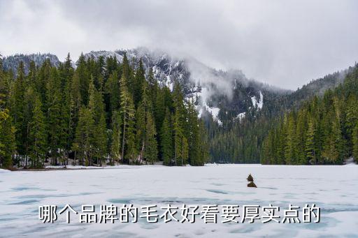 哪个品牌的毛衣好看要厚实点的