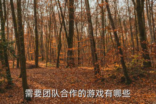 需要团队合作的游戏有哪些