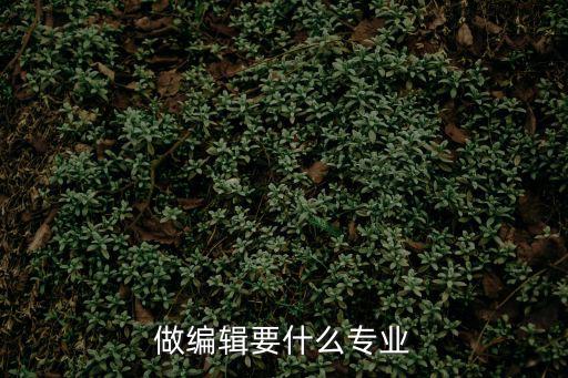 做编辑要什么专业
