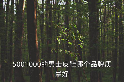 5001000的男士皮鞋哪个品牌质量好