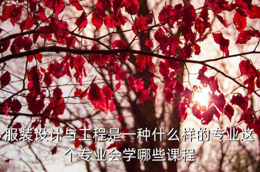 服装设计与工程是一种什么样的专业这个专业会学哪些课程