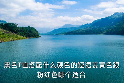 黑色T恤搭配什么颜色的短裙姜黄色跟粉红色哪个适合