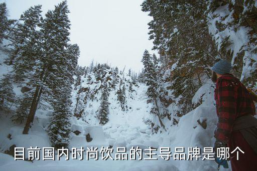 目前国内时尚饮品的主导品牌是哪个
