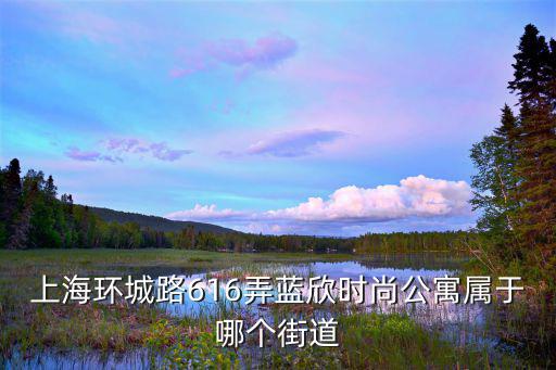 亚洲时尚公寓属于哪个学区，南京市秦淮区龙蟠中路554号亚都公寓属于哪个学区