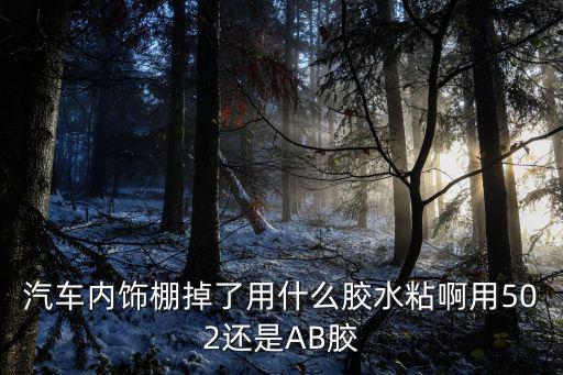 汽车内饰棚掉了用什么胶水粘啊用502还是AB胶