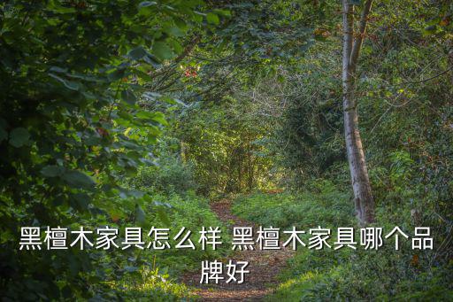 黑檀木家具怎么样 黑檀木家具哪个品牌好