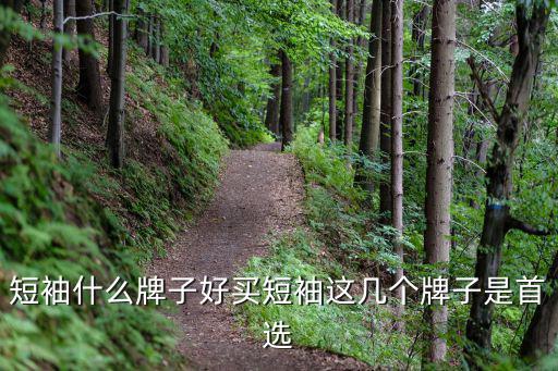 胖人短袖哪个牌子好看时尚，适合胖人穿的衣服品牌