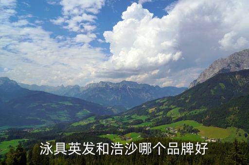 泳具品牌十大排行，泳具什么牌子最好